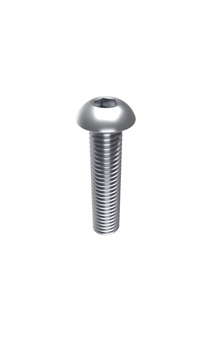 M10 X 45 Button Head 304 S/s