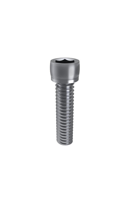 M10 X 60 Socket Head Cap Screw 316